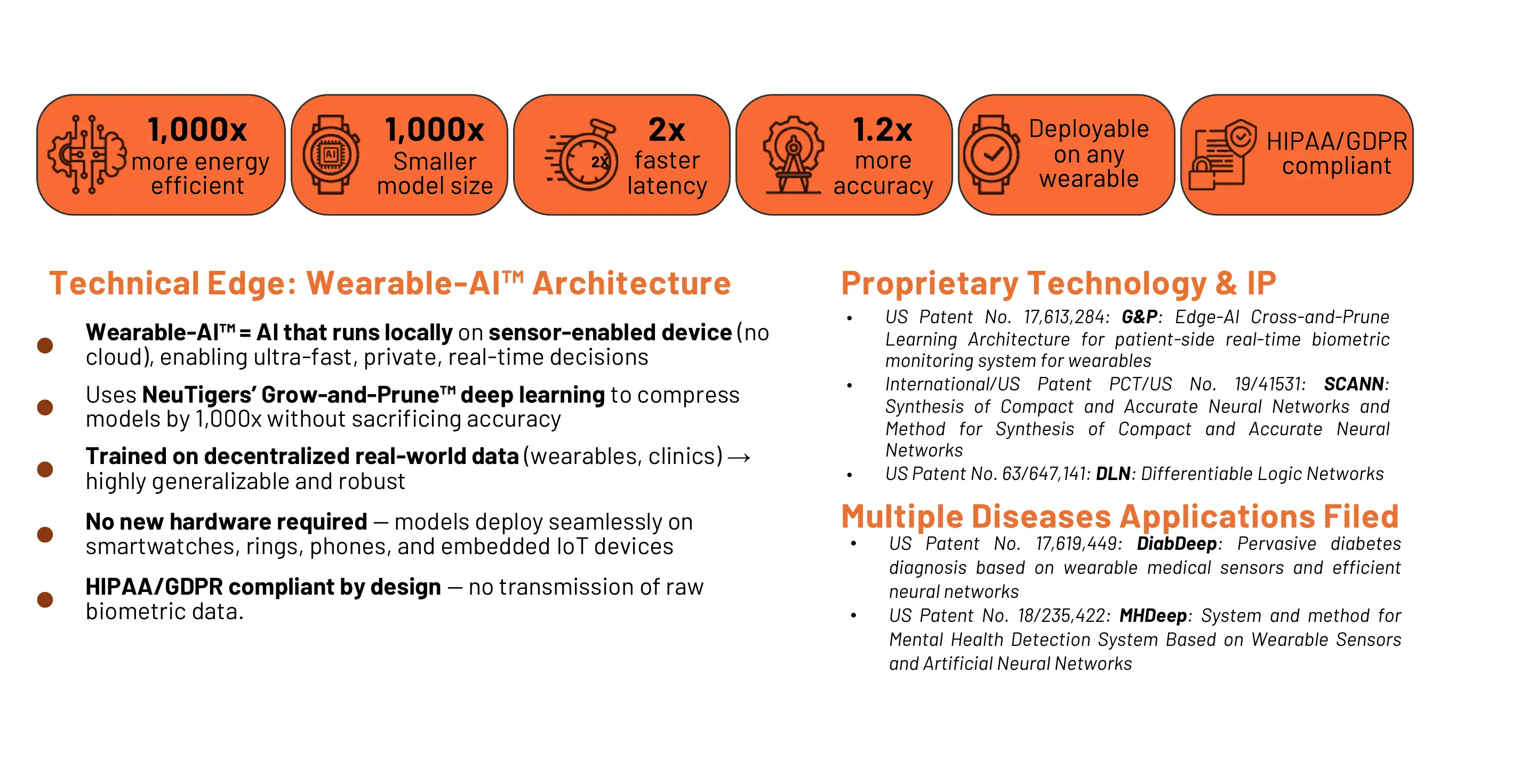 NeuTigers Edge-AI architecture, compact-model performance and intellectual-property portfolio